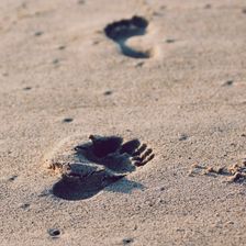 The Life and Teachings of Christ