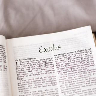 Exodus 16:4 - 17:16