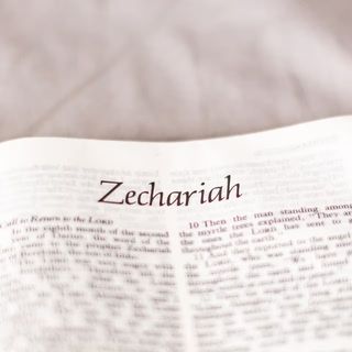 Zechariah 1 - 2