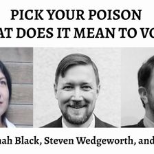 Pick Your Poison: What Does it Mean to Vote?