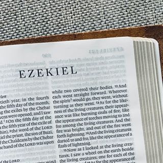 Ezekiel 8 - 11 (2nd Vision)