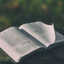Psalms