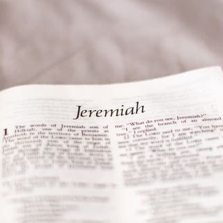 Jeremiah 6 - 8