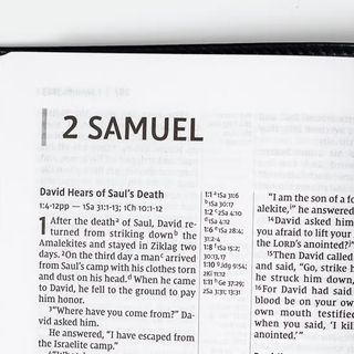 2 Samuel 15 - 16
