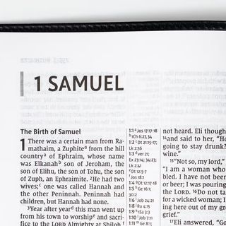 1 Samuel 18 - 20