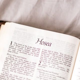 Hosea 4 - 9